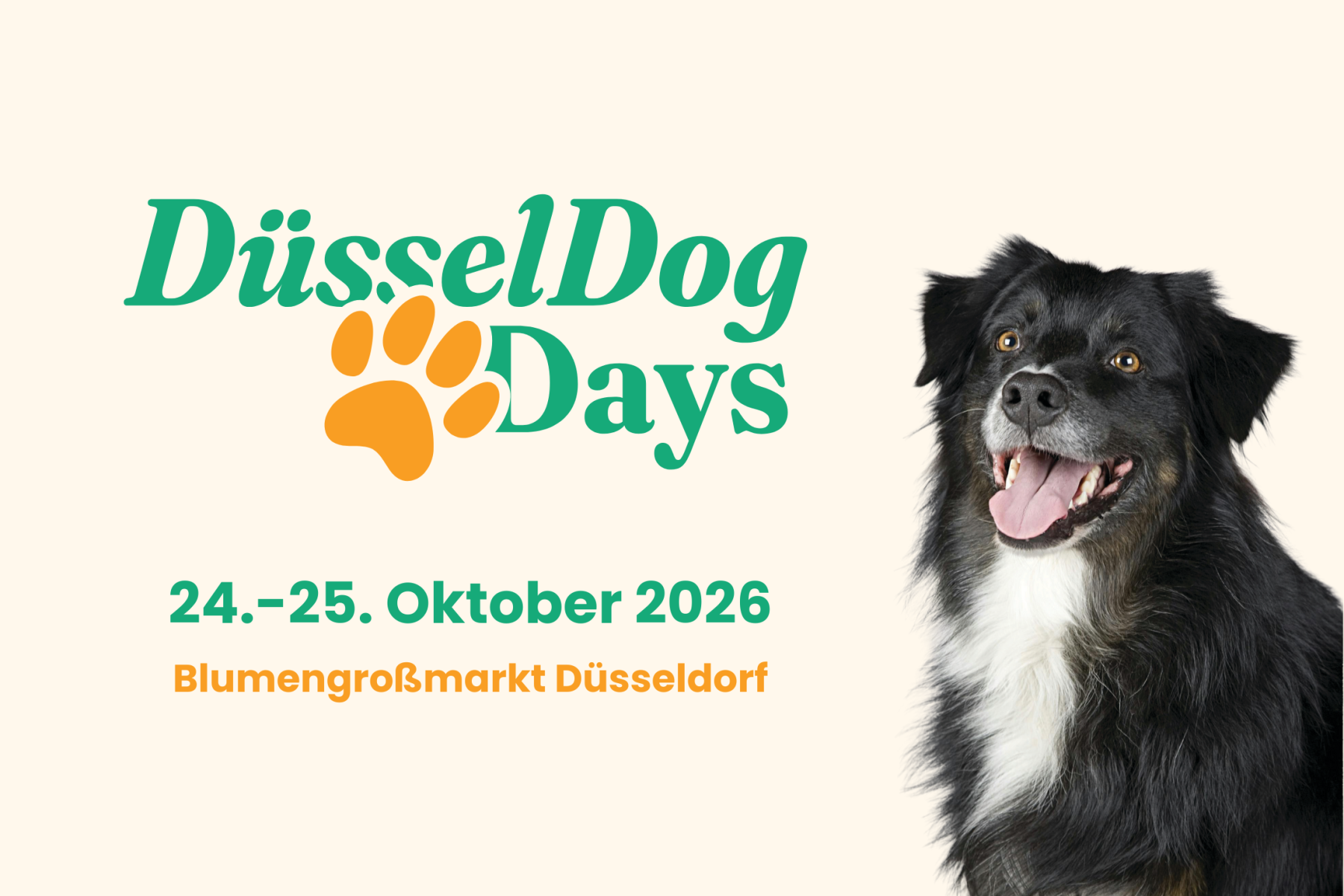 DüsselDog Days_148x105mm